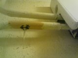 IMG00183.jpg