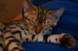 DSC00709.JPG