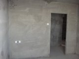 DSC03537_resize_resize.JPG