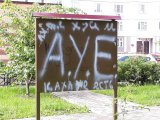 IMG-20170721-WA0009.jpg